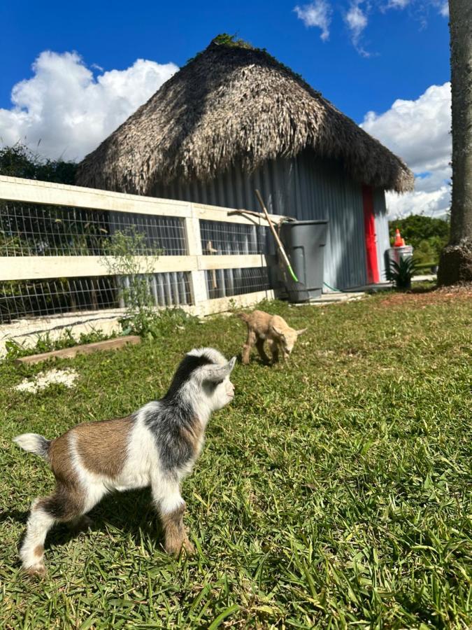 Arritola B And B Ranch Homestead Bagian luar foto