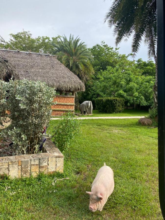 Arritola B And B Ranch Homestead Bagian luar foto